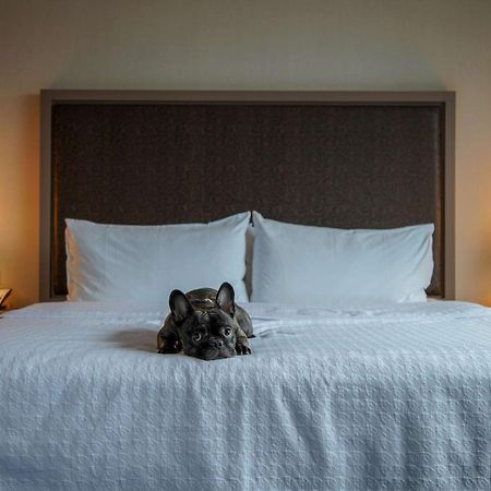 Homewood Suites By Hilton Chicago West Loop Fulton Mkt Area Bagian luar foto