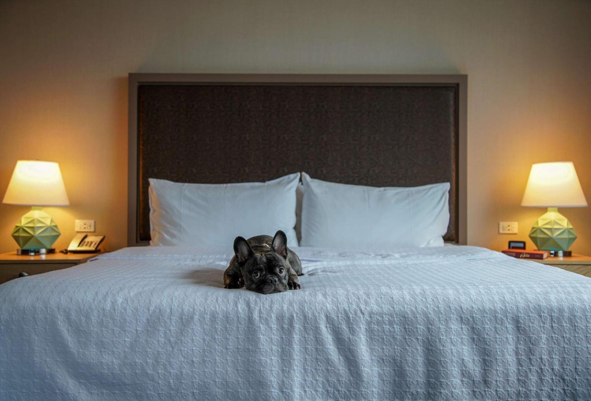 Homewood Suites By Hilton Chicago West Loop Fulton Mkt Area Bagian luar foto